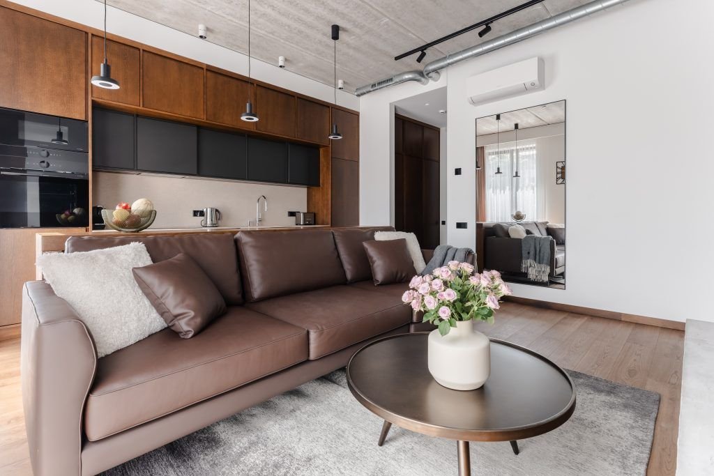 Modern one-bedroom apartment V.P.7 - V.Putvinskio st. 8-7, Kaunas