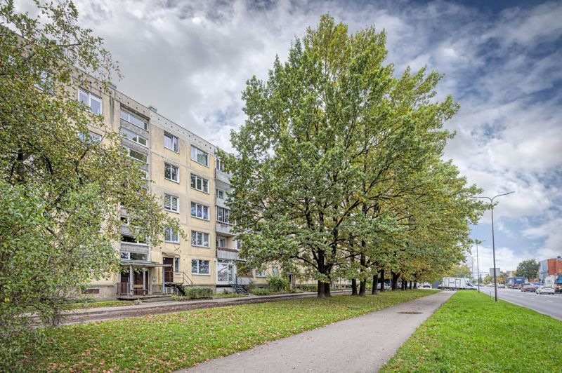 Namas ir kiemas – Partizanų g., Dainava