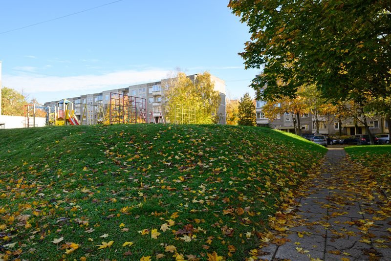 Kiemas – Šiaurės pr., Eiguliai